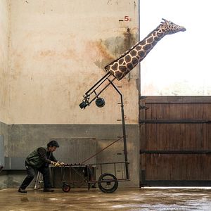 Bilder Rettet den Zoo