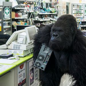 Bilder Rettet den Zoo