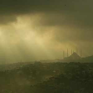 Bilder The Dissident