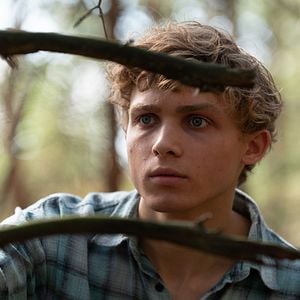 Bilder Das Grab im Wald