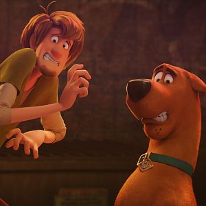 Bilder Scooby! Voll verwedelt