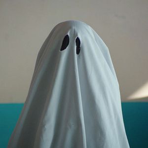 Bilder Die Samen, die wir säen