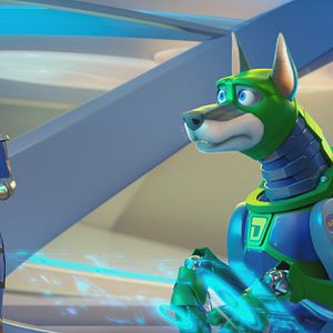 Bilder Scooby! Voll verwedelt