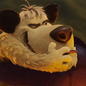 Bilder Scooby! Voll verwedelt