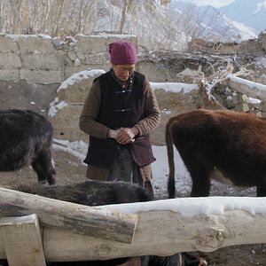 Bilder Chaddr - Unter uns der Fluss