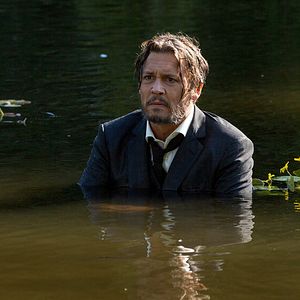 Bilder The Professor