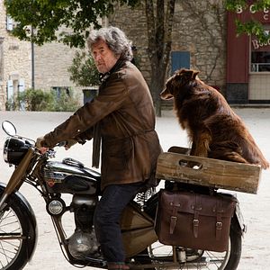 Bilder François Cluzet