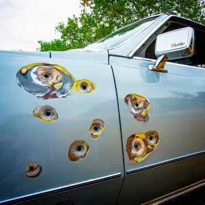 Bilder Billie – Legende des Jazz