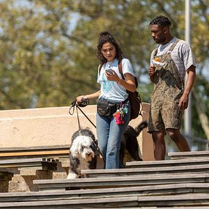 Bilder Phillip Johnson Richardson