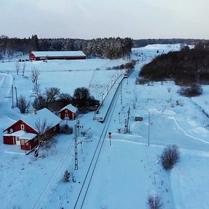 Bilder Dem Leben entgegen - Kindertransporte nach Schweden