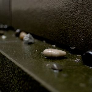 Bilder Dem Leben entgegen - Kindertransporte nach Schweden