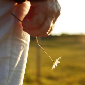 Bilder Dem Leben entgegen - Kindertransporte nach Schweden