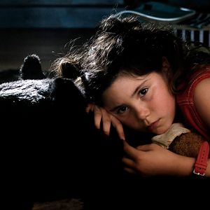 Bilder Hauptsache Bären!