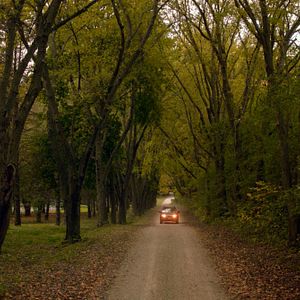 Bilder 30 Miles from Nowhere - Im Wald hört dich niemand schreien