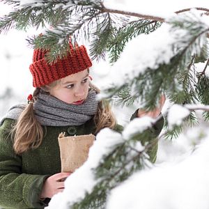 Bilder Weihnachten im Zaubereulenwald