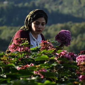 Bilder Doch das Böse gibt es nicht