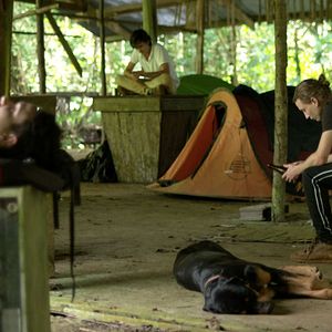 Bilder Un monde ailleurs