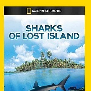 Bilder Die Verschollenen Inseln