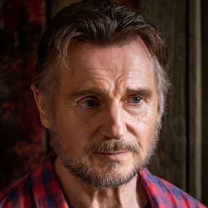 Bilder Liam Neeson