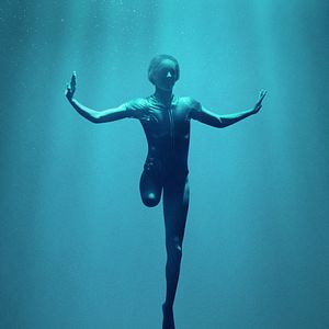 Bilder Phönix aus der Asche