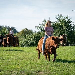 Bilder Gott, du kannst ein Arsch sein!