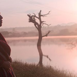 Bilder Was geschah mit Bus 670?