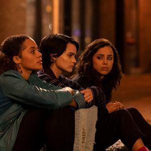 Bilder Diebische Elstern