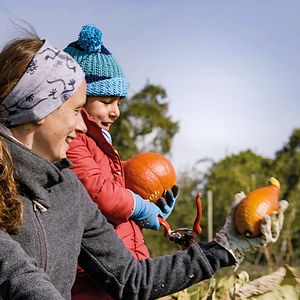 Bilder Unser Boden, unser Erbe