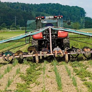 Bilder Unser Boden, unser Erbe