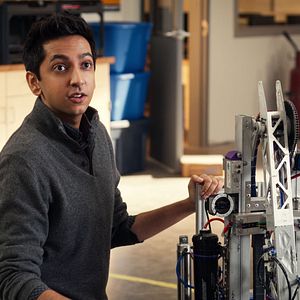 Bilder Diebische Elstern