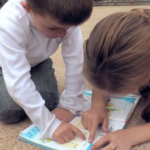 Bilder Le Bon Grain et l'Ivraie