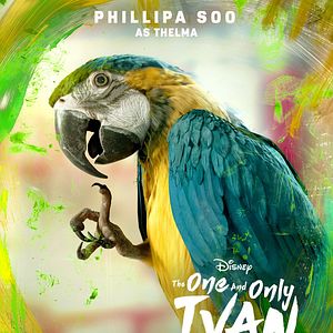 Bilder Der einzig wahre Ivan