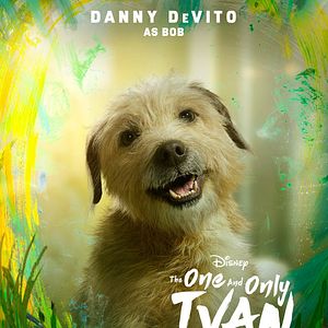 Bilder Der einzig wahre Ivan