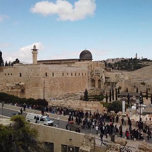 Bilder Selbst Geheilt