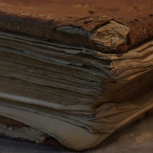 Bilder The Booksellers - Aus Liebe zum Buch