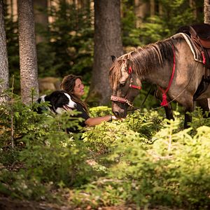 Bilder Wildherz - Auf der Reise zu mir selbst