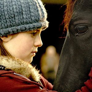 Bilder Shelly und Orphan - Im Schicksal vereint