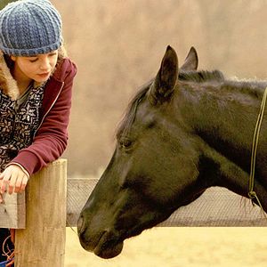 Bilder Shelly und Orphan - Im Schicksal vereint