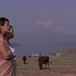 Bilder Goodbye Mister Wong