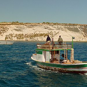 Bilder U-235 - Abtauchen, um zu überleben