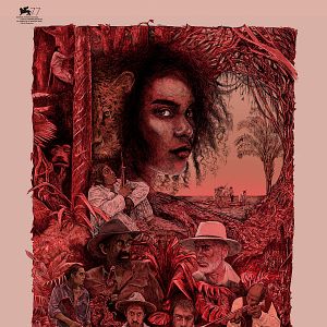 Bilder Tragic Jungle