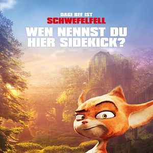 Bilder Drachenreiter