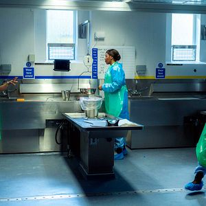 Bilder Sian Reese-Williams