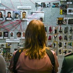 Bilder Der Geschmack der Margeriten