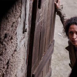 Bilder Der Geschmack der Margeriten