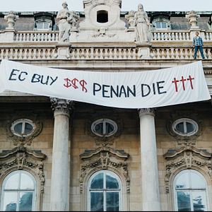 Bilder Die Stimme des Regenwaldes