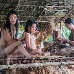 Bilder Die Stimme des Regenwaldes