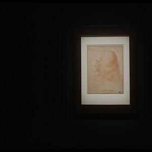 Bilder Eine Nacht im Louvre: Leonardo da Vinci