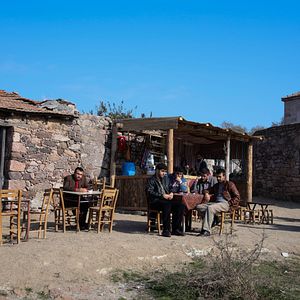 Bilder Aile Hükümeti