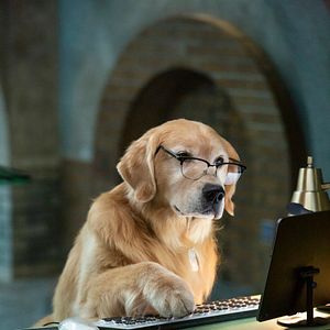 Bilder Cats & Dogs 3: Pfoten vereint!